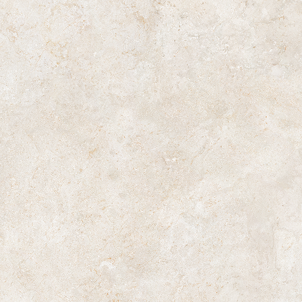 Evolution White NR