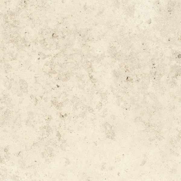 Jurassic Fossil Crema 3D